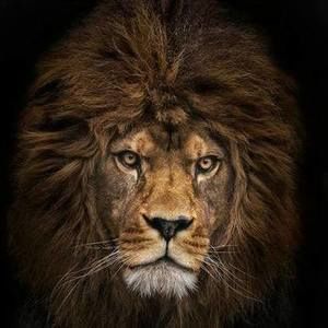 Meet your Posher, Jerry